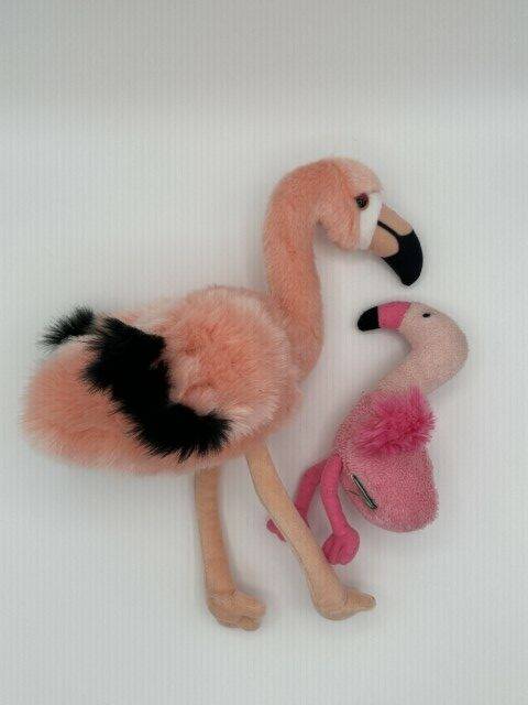 blooprint-creation-flamingo