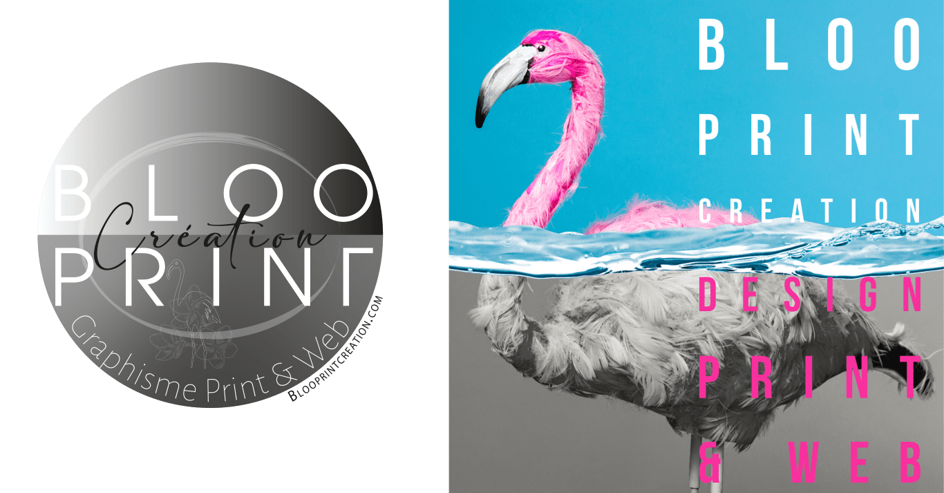 blooprint-creation-picto