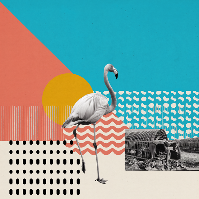 Graphiste-developpeur-front-end